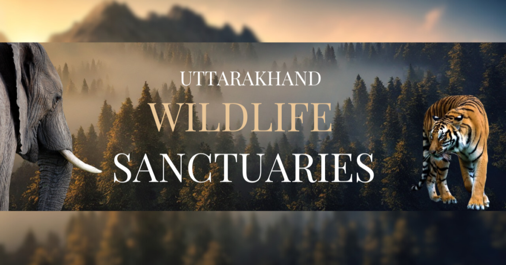 wildlife sancturies in uttarakhand