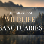 wildlife sancturies in uttarakhand